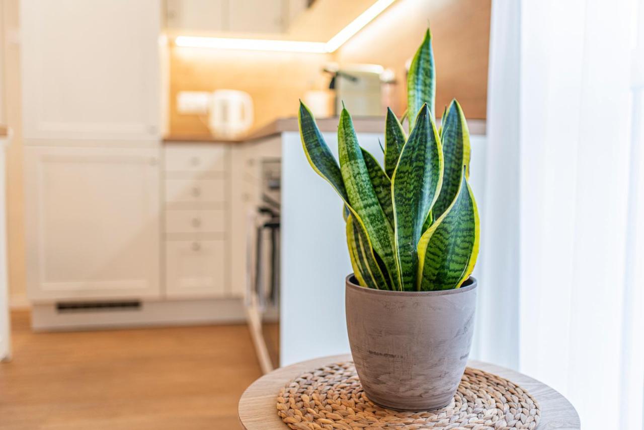 Cosy Inner City Getaway Bestern Σέγκεντ Εξωτερικό φωτογραφία